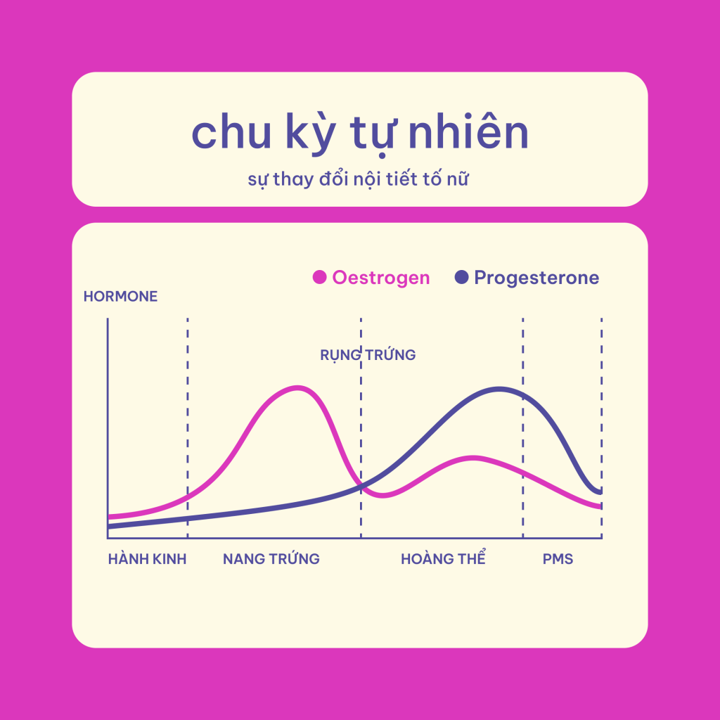 Cảm hứng tình dục và khả năng lên đỉnh ở phụ nữ phụ thuộc vào thời điểm trong chu kỳ kinh nguyệt.