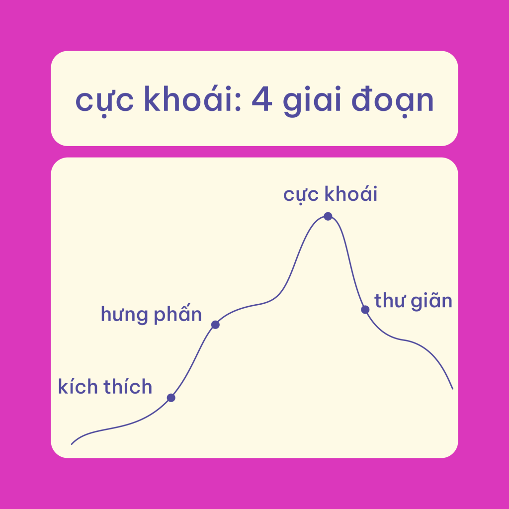 Chu kỳ đáp ứng tình dục có 4 giai đoạn: kích thích, hưng phấn, cực khoái, và thư giãn. Cả đàn ông và phụ nữ trải qua những giai đoạn này, nhưng thường không khớp nhau về thời điểm.